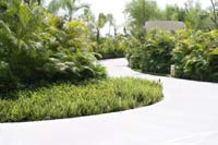 Resort Photos