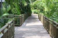 Resort Photos