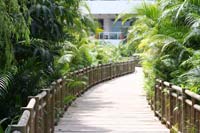 Resort Photos