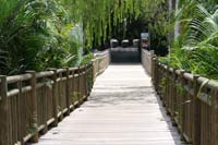 Resort Photos